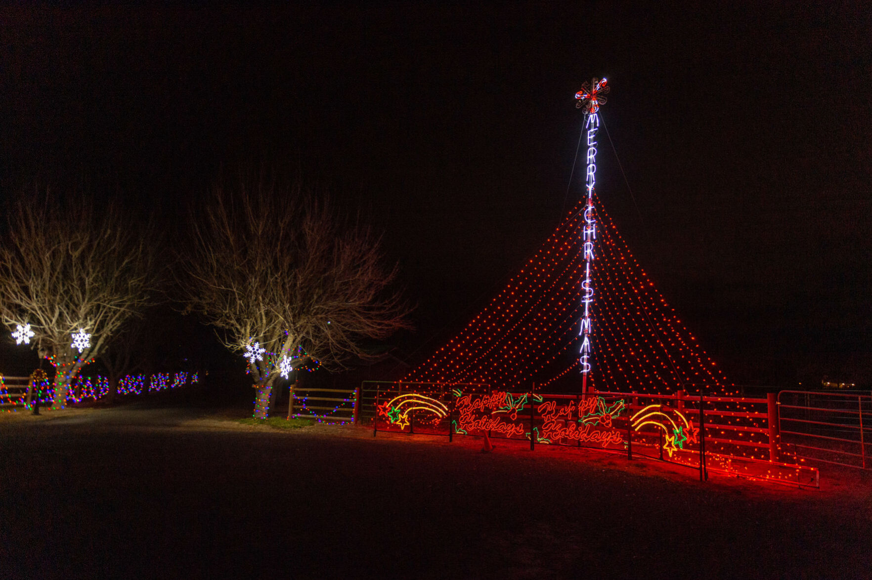 Holiday lights